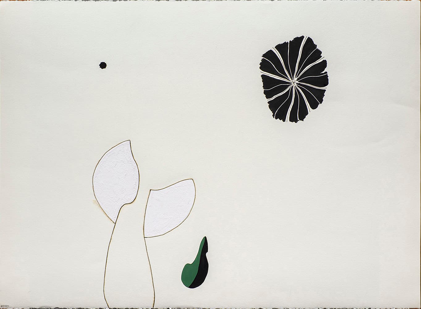 abstraction, Regina five, Canadian art, Contemporary art, Emma Lake, non-representation art, flower