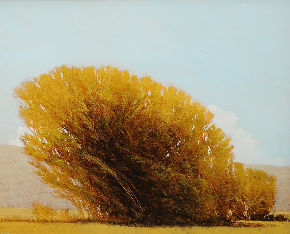 cloud bank, tree, deciduous, purple, fantasy, portrait, landscape, landscape, bushes, small