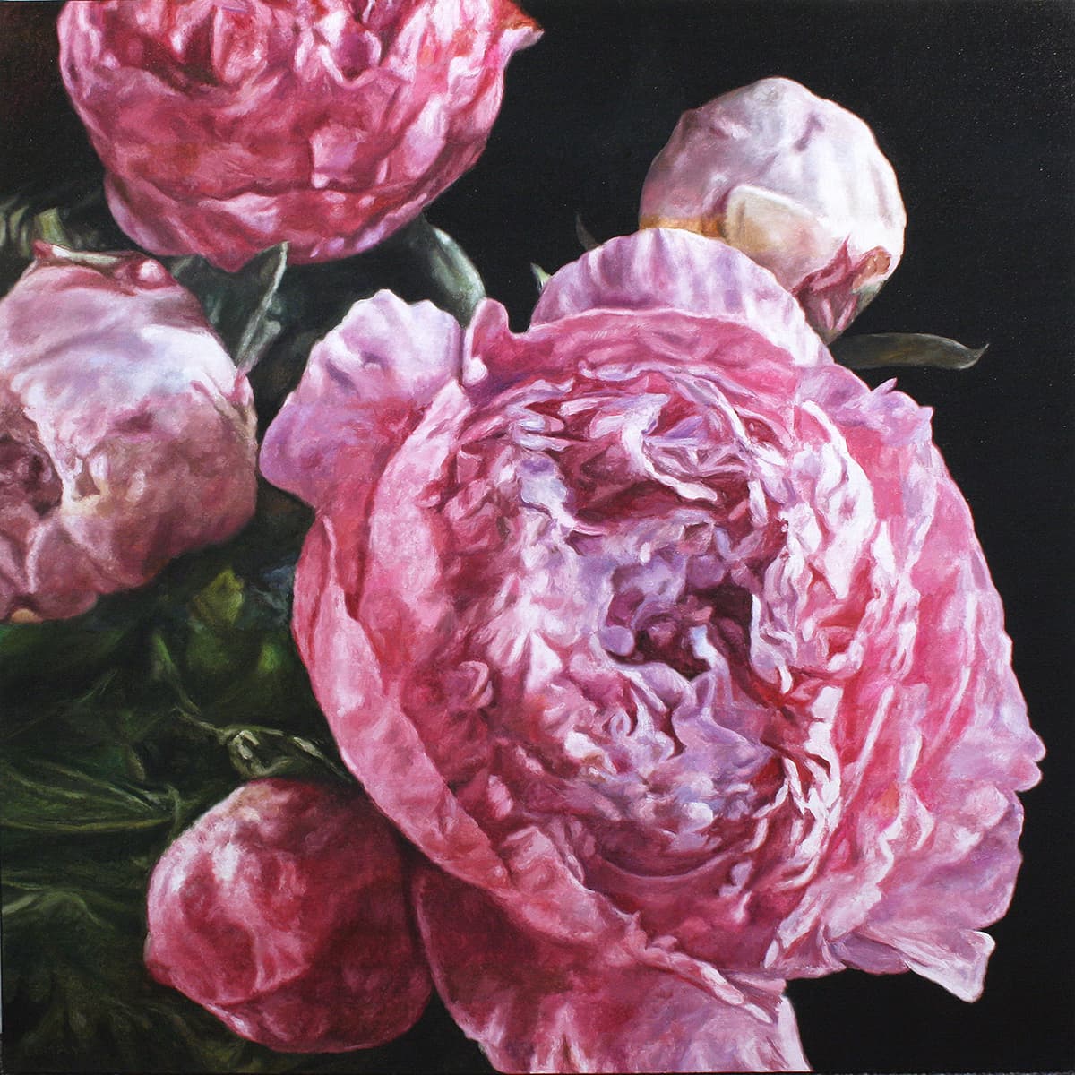 still life, pink, realism, digital, detailed, dramatic lighting, Chiaroscuro, garden, buds, peonies