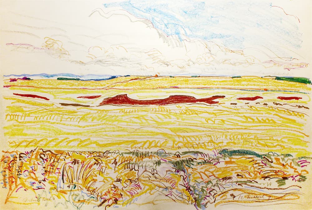 field, pastel, Saskatchewan, Alberta