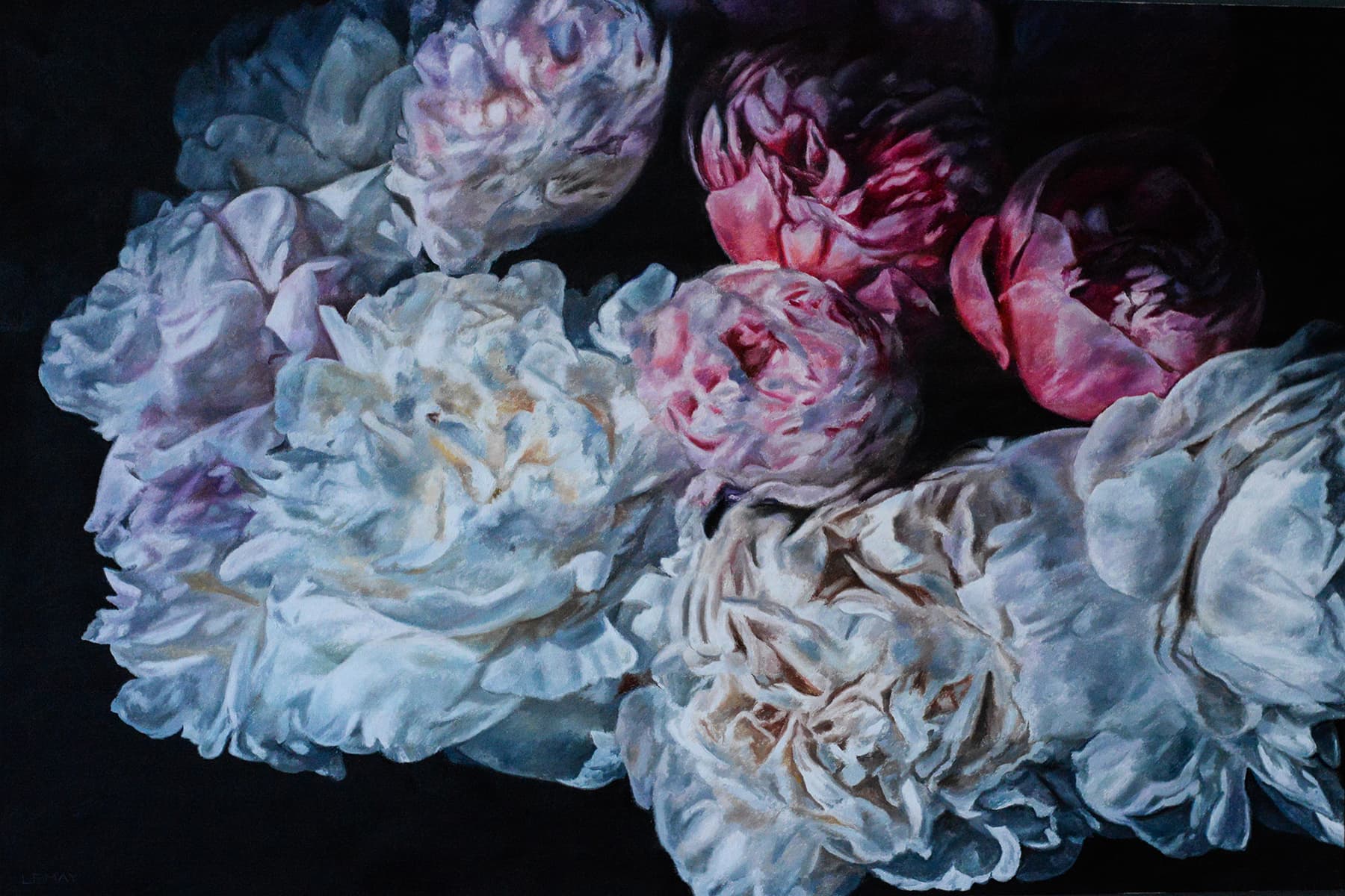 flowers, realism, Canadian art, renaissance, contemporary art, Alberta artist, peony, peonies, flowers, still life, renaissance, realism, still life, dramatic lighting, Chiaroscuro, garden, flowering, pink