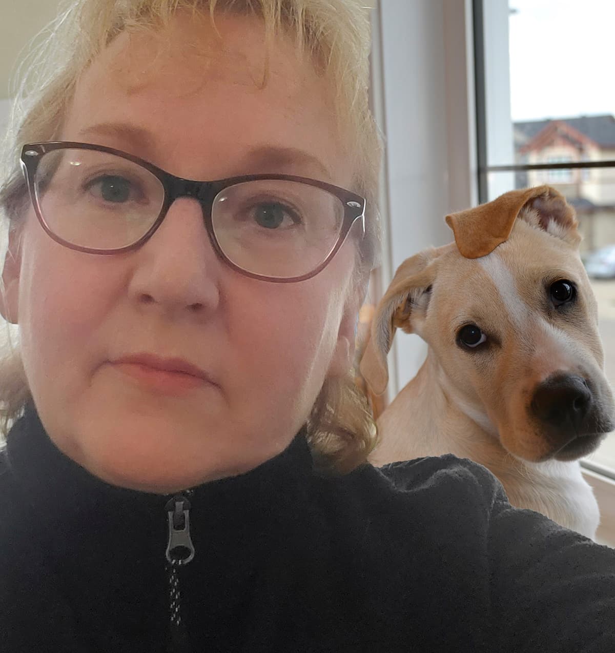 dog, photo bomb, artist, portrait, selfie