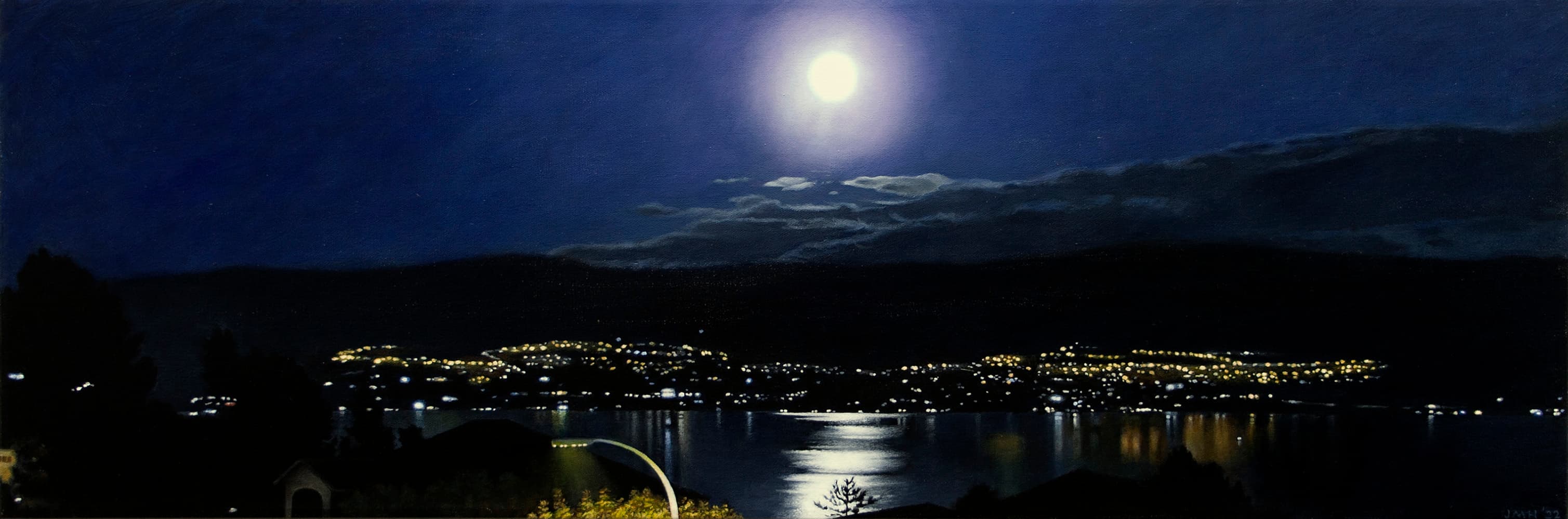 Nocturne, moon, full, dark lighting, Kelowna, tranquil