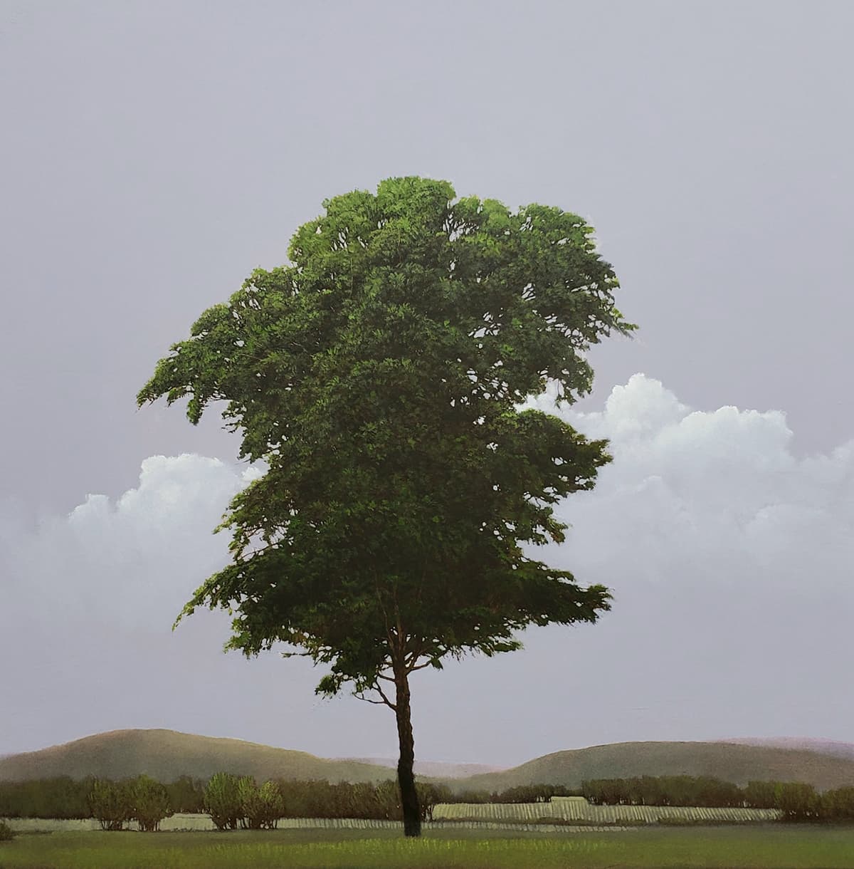 cloud bank, tree, deciduous, purple, fantasy, portrait, landscape, solitary, foliage