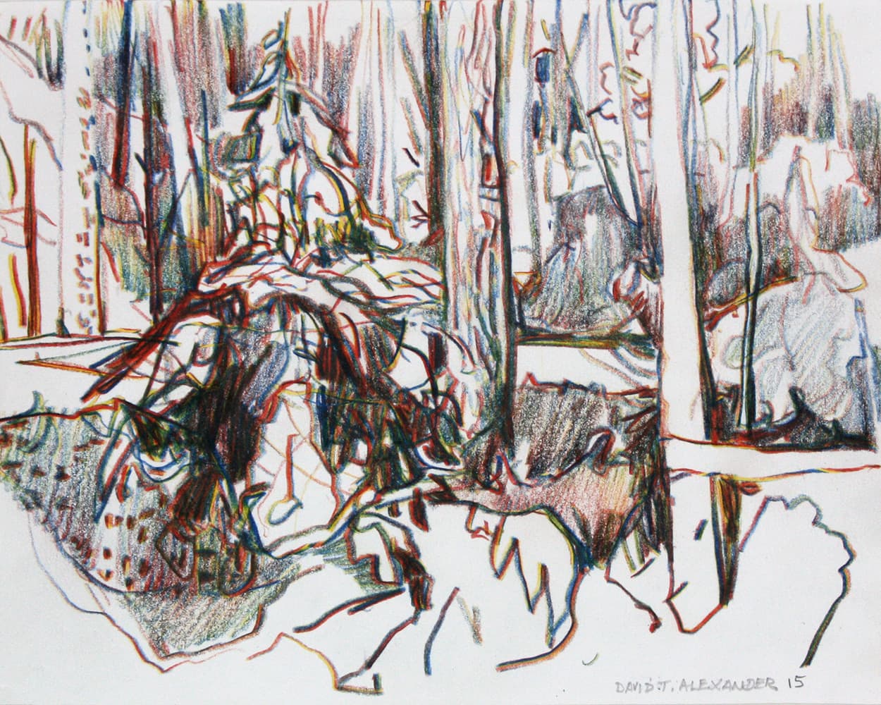 depth, impressionistic, British Columbia, Saskatchewan, landscape, drawing, impressionism, complimentary, Okanagan,  perspective, calm, multi-colored, forest, coloured pencil, uprooted, sketch