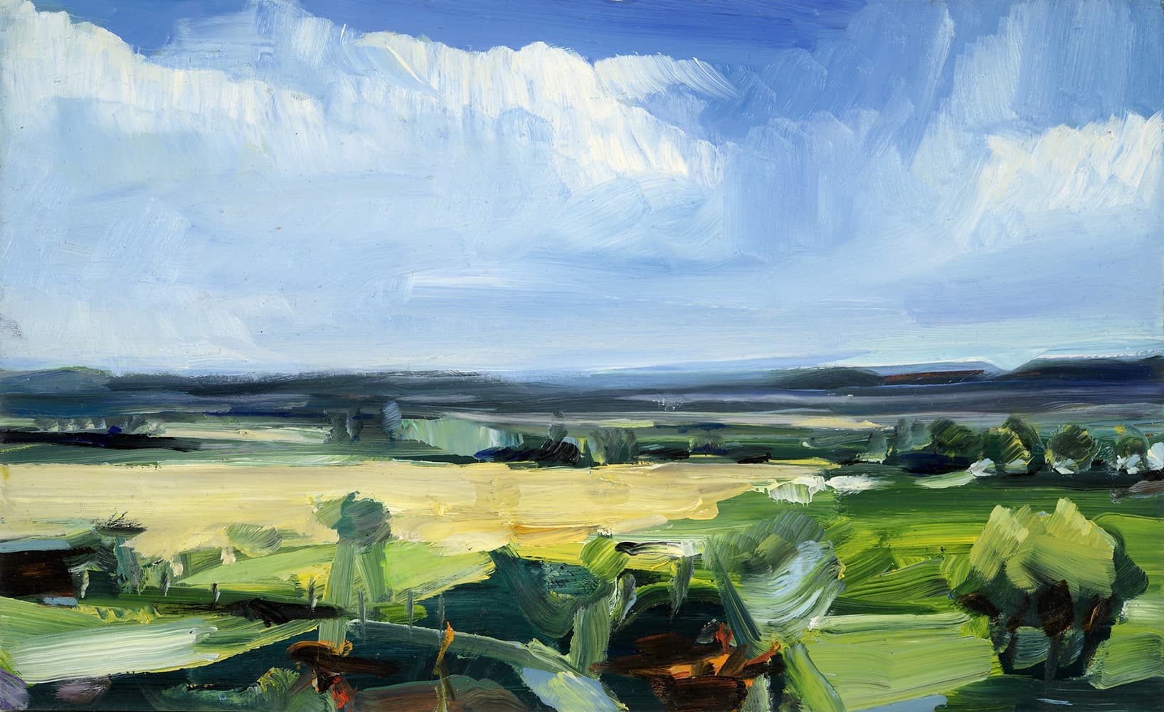 dramatic, landscape, painterly, bold, oil, landscape, stark, abstraction, Ontario, United Kingdom, bold, dark skies, winter, canola