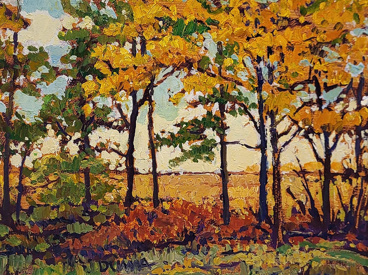 landscape, Alberta winter, foothills, Leighton centre, Priddis