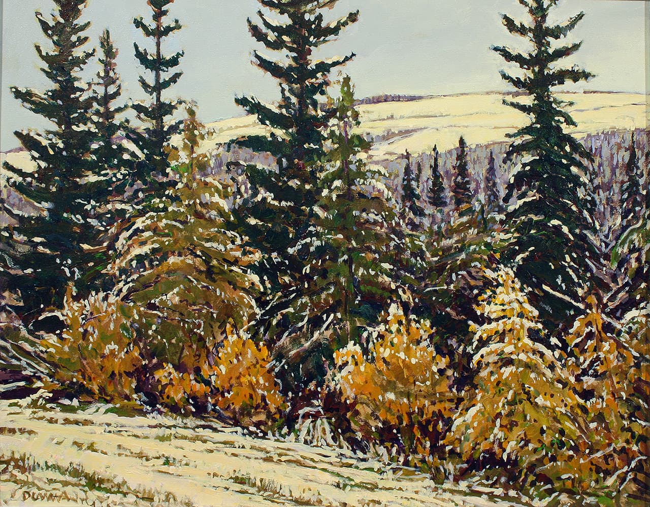 Alberta landscape, clouds, Calgary artist, evergreen