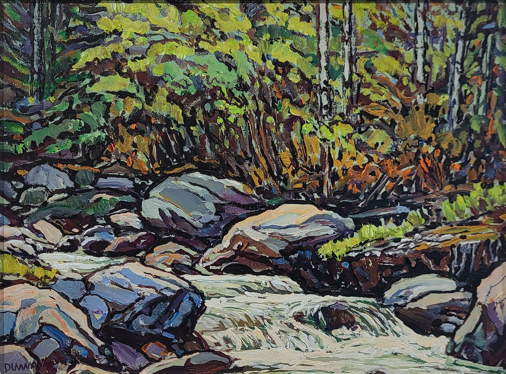 rocks, stream, water, rapids, impressionism, Canadian artist