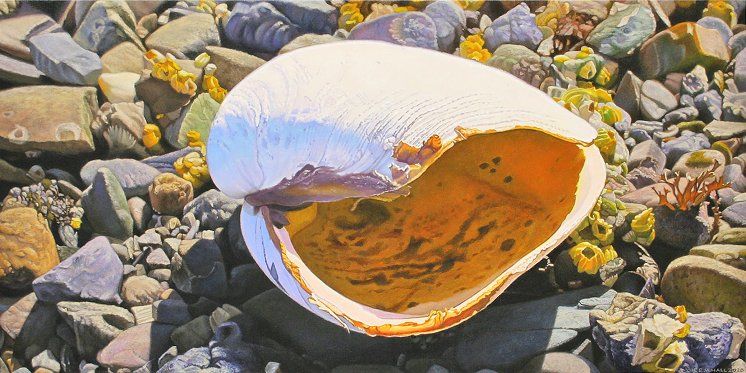Kelowna, realism, Calgary, artist residency, winter scene, light, landscape, cloudy, shell, ocean, rocks, Haida, Queen Charlotte Islands, coast