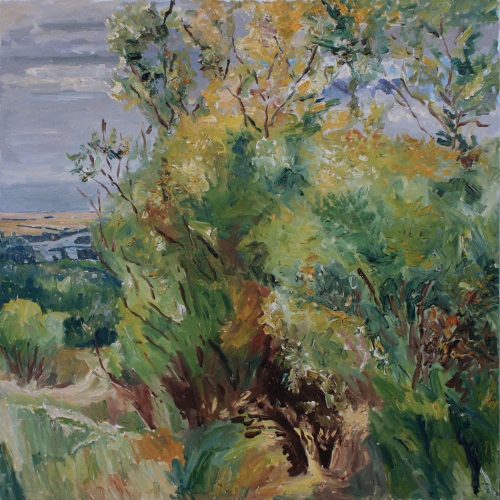 Emma Lake, Saskatoon, Saskatchewan, river, mountain, sky, impressionism,