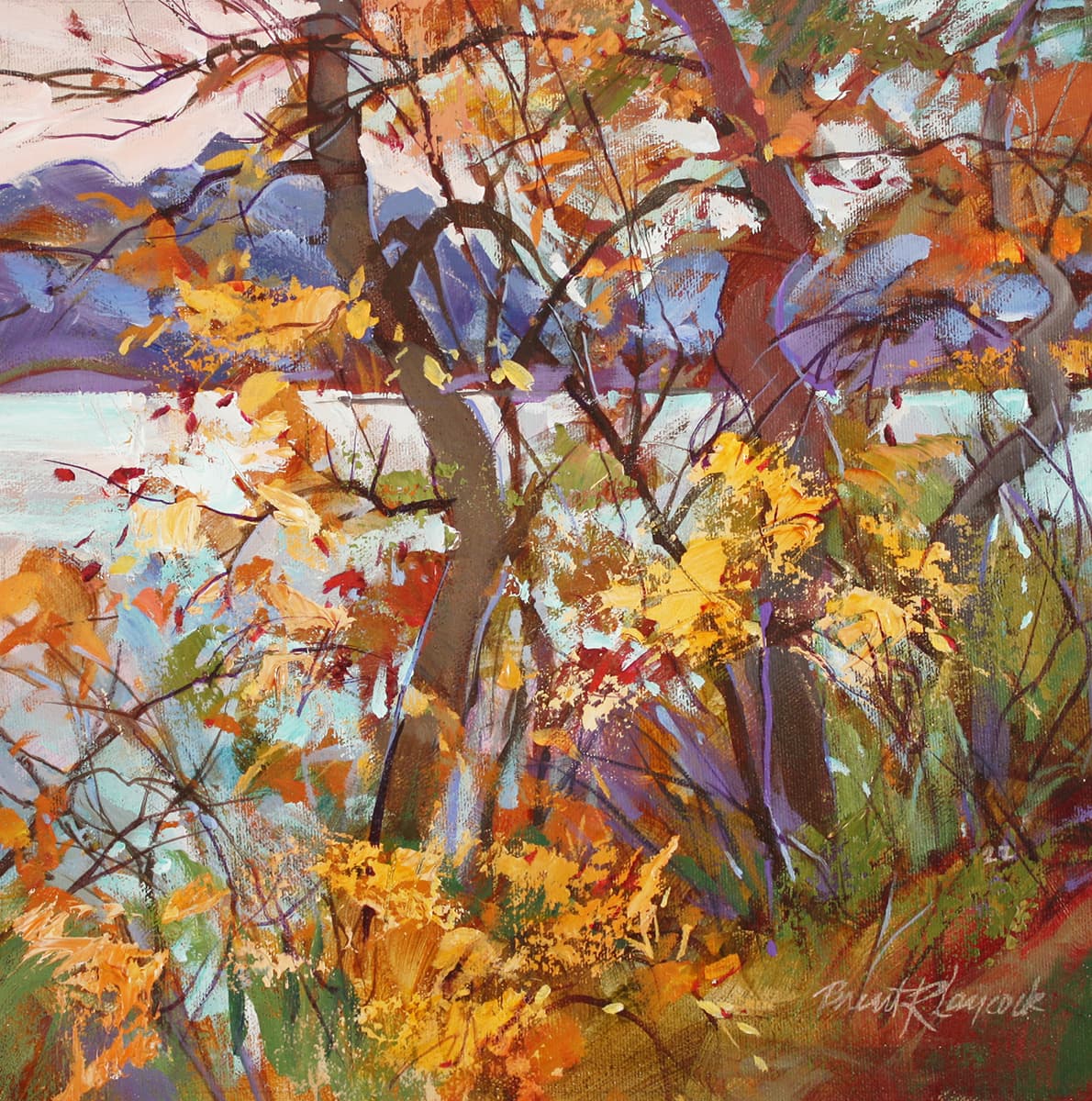 lake through trees, fall, autumn colours, changing season