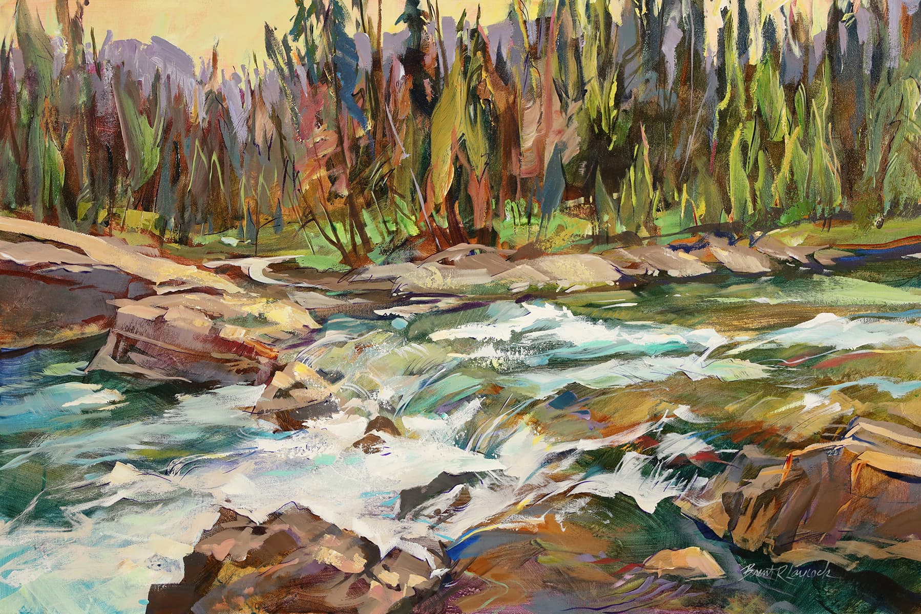 rapid water, river, fishing stream, Elbow Falls