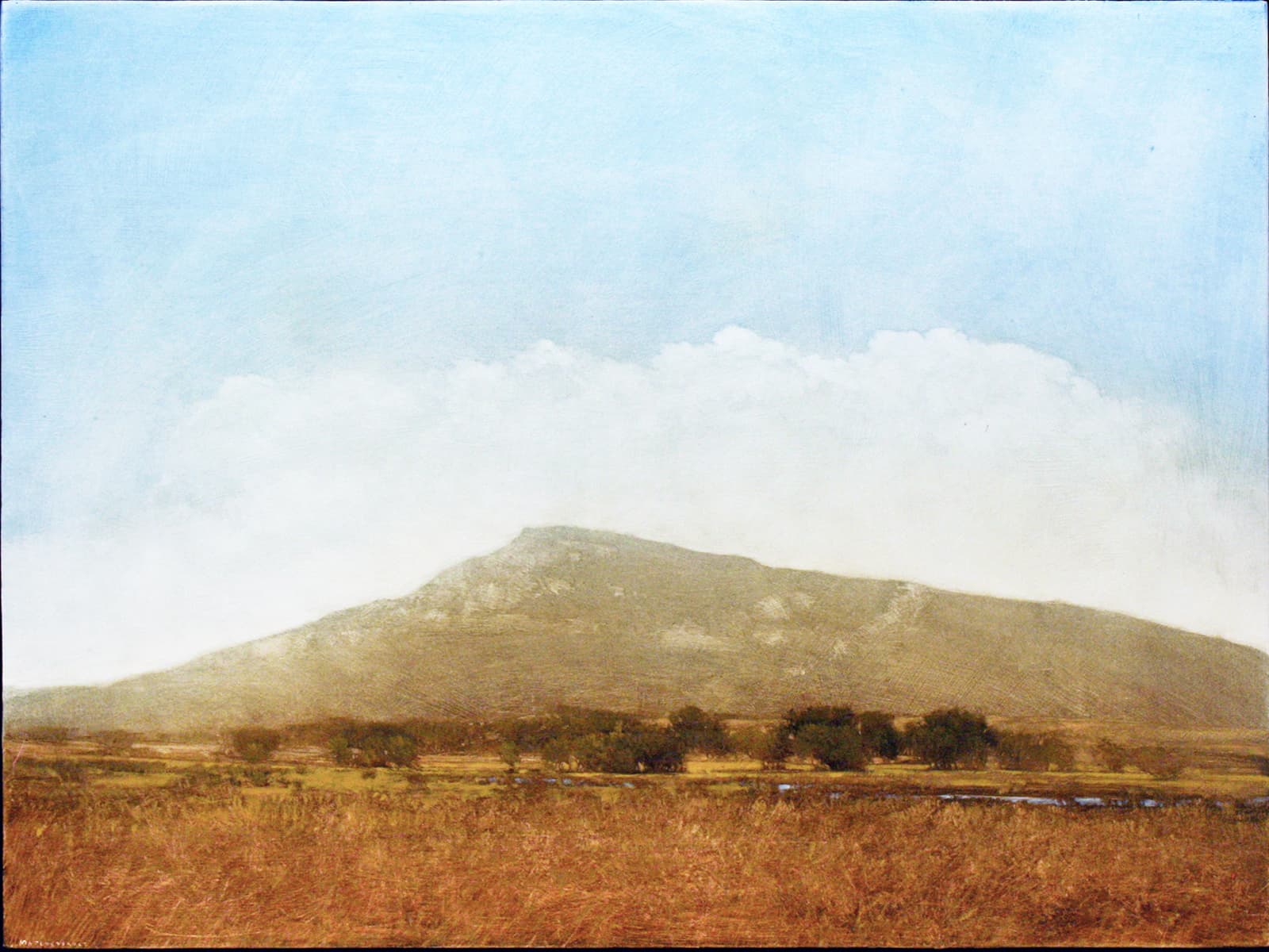 cloud bank, trees, deciduous bushes, hill, fantasy, mountain, landscape
