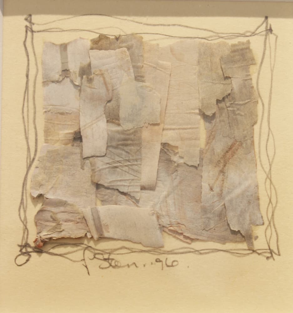 Calgary, abstract, mixed media, drawing, bark, nature, landscape, hidden