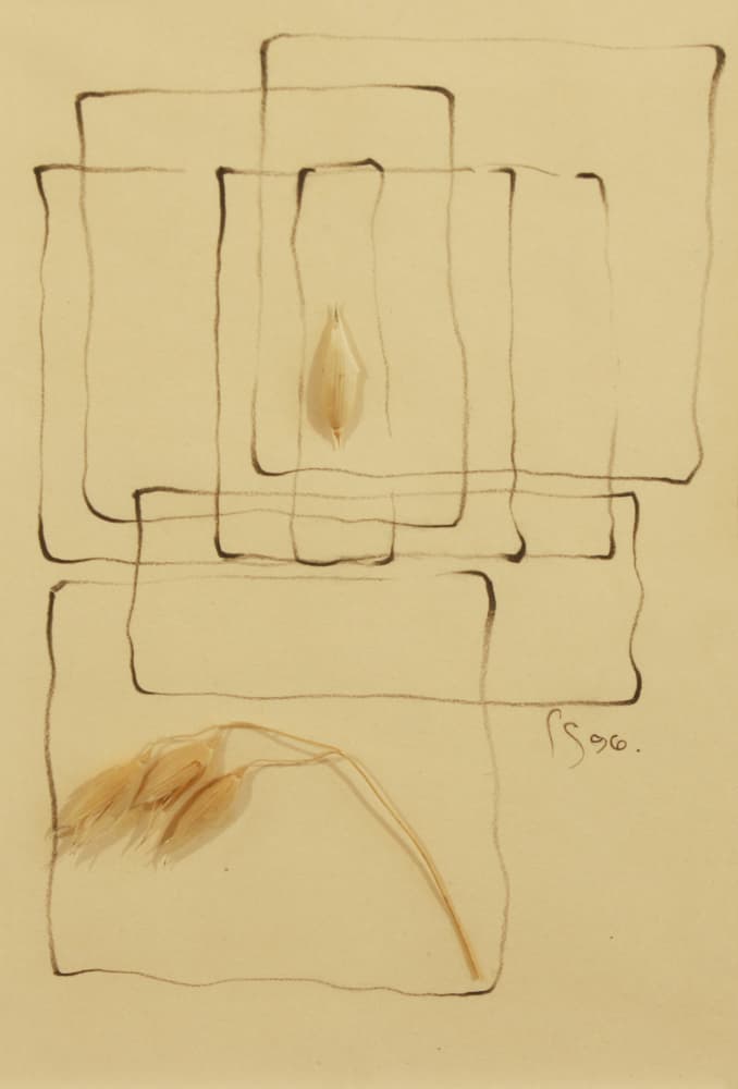 Calgary, abstract, mixed media, drawing, bark, nature, landscape, hidden