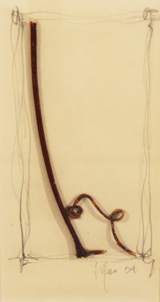 Calgary, abstract, mixed media, drawing, bark, nature, landscape, hidden