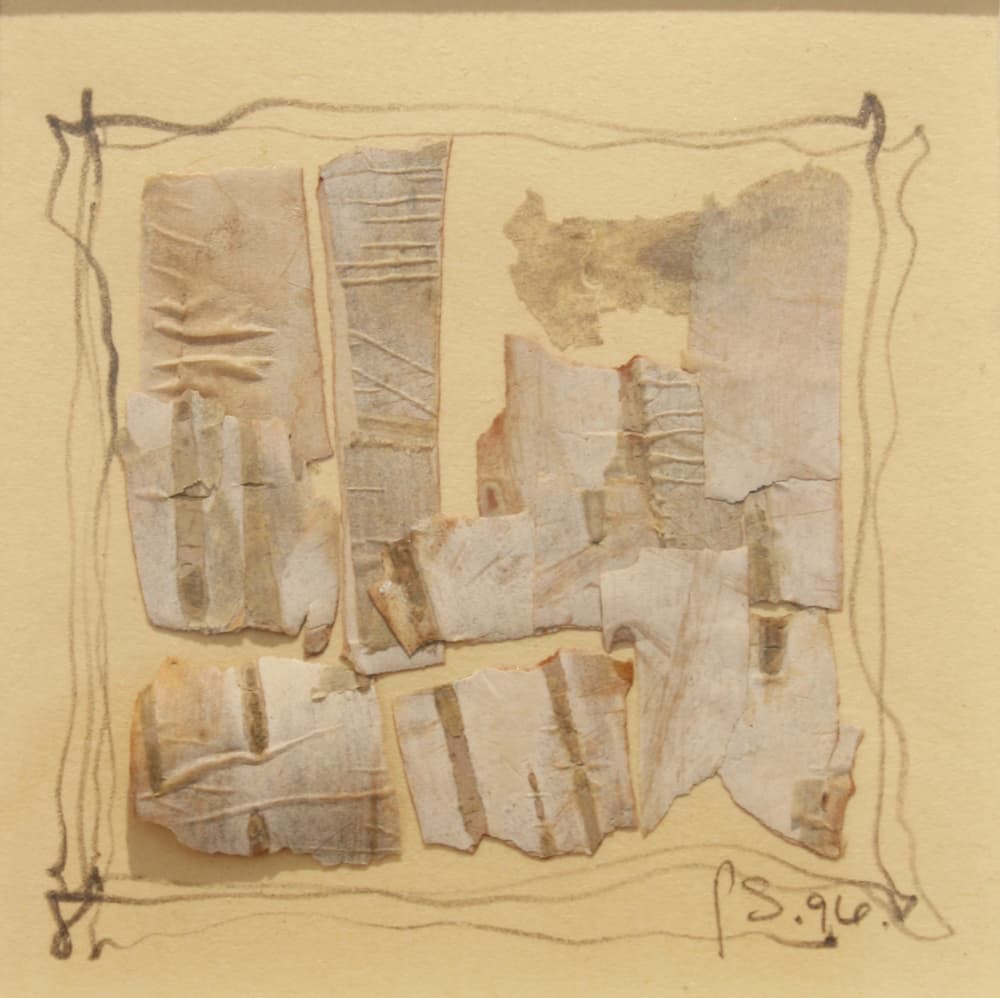 Calgary, abstract, mixed media, drawing, bark, nature, landscape, hidden