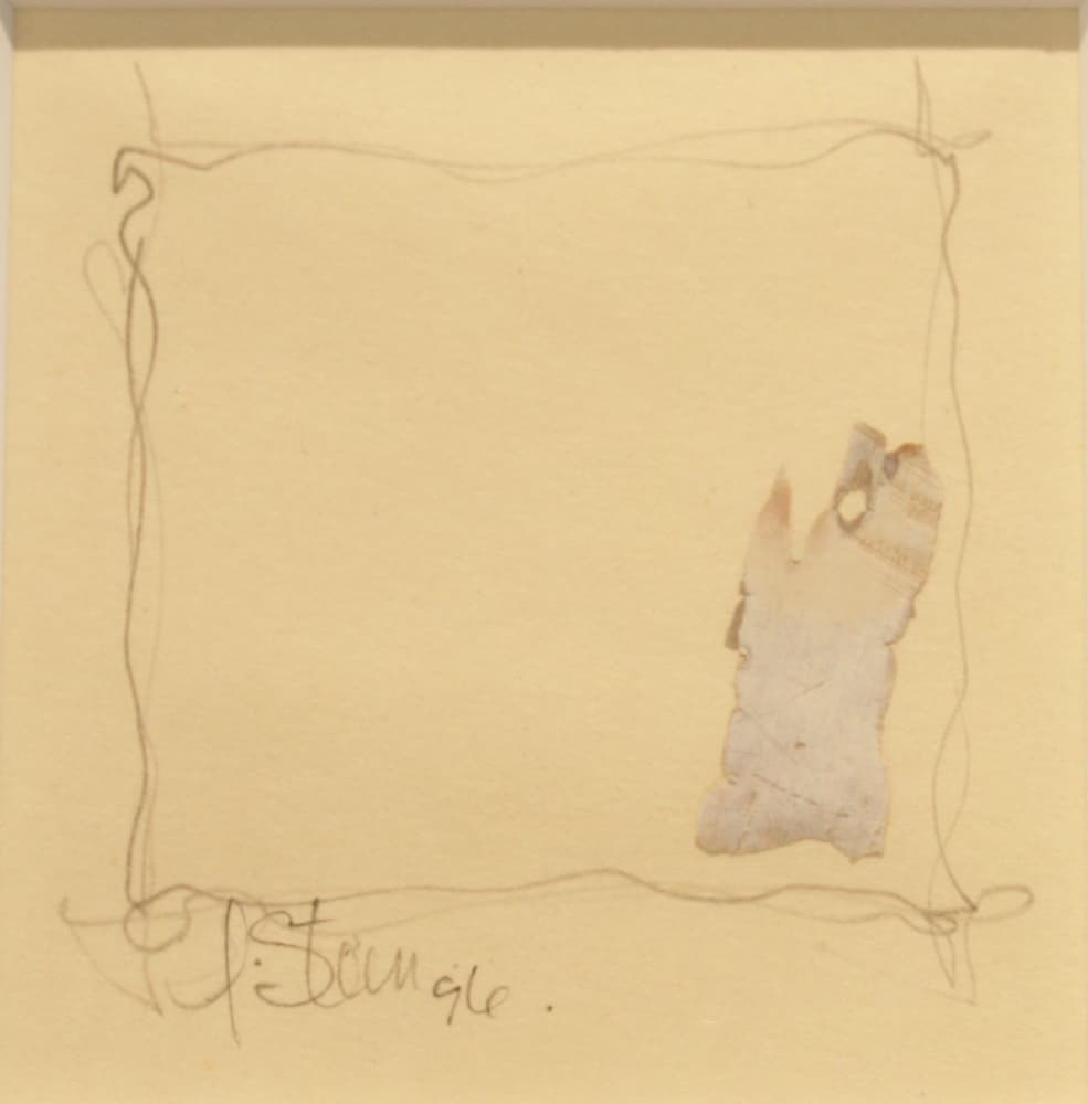 Calgary, abstract, mixed media, drawing, bark, nature, landscape, hidden