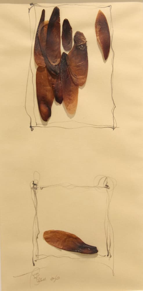 Calgary, abstract, mixed media, drawing, bark, nature, landscape, hidden, leaves,  wasps