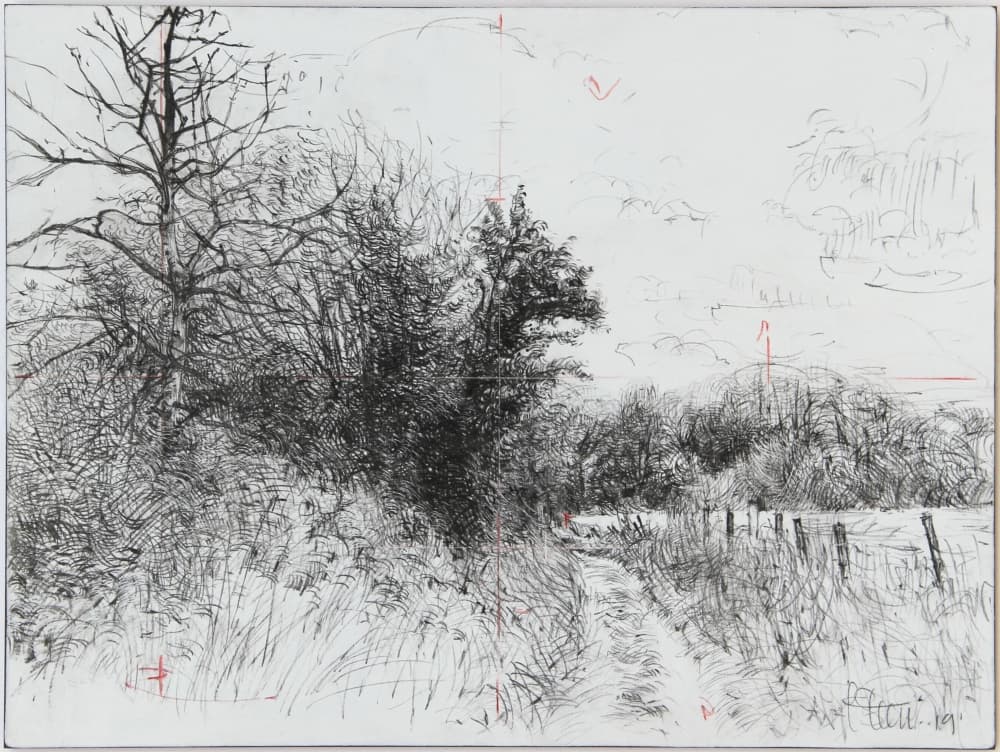 drawing, mark-making, roadside, countryside, England, bushes