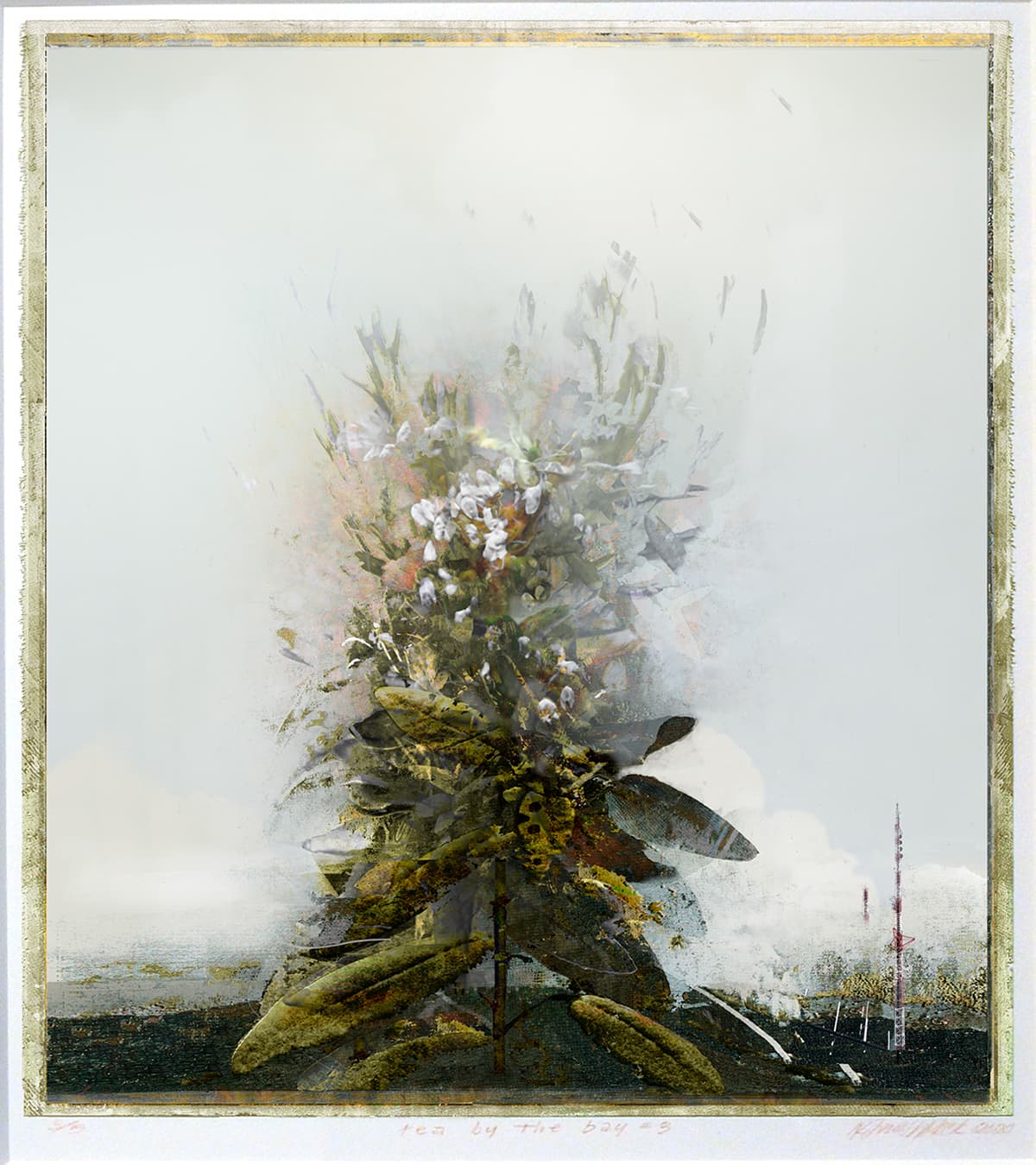 abstraction, mixed media, work on paper, artwork, Canadian artist, arid, tropical