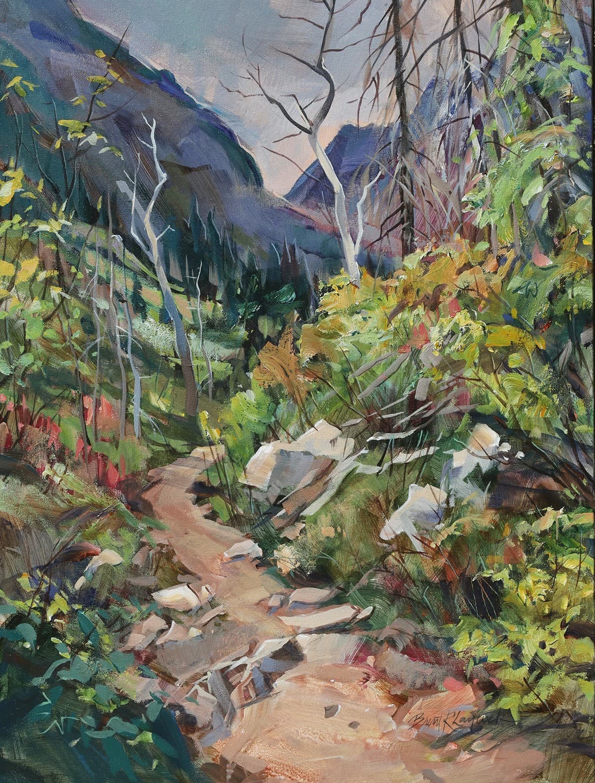 trail, hiking, walk-about, wandering , exploring, pathway, forest