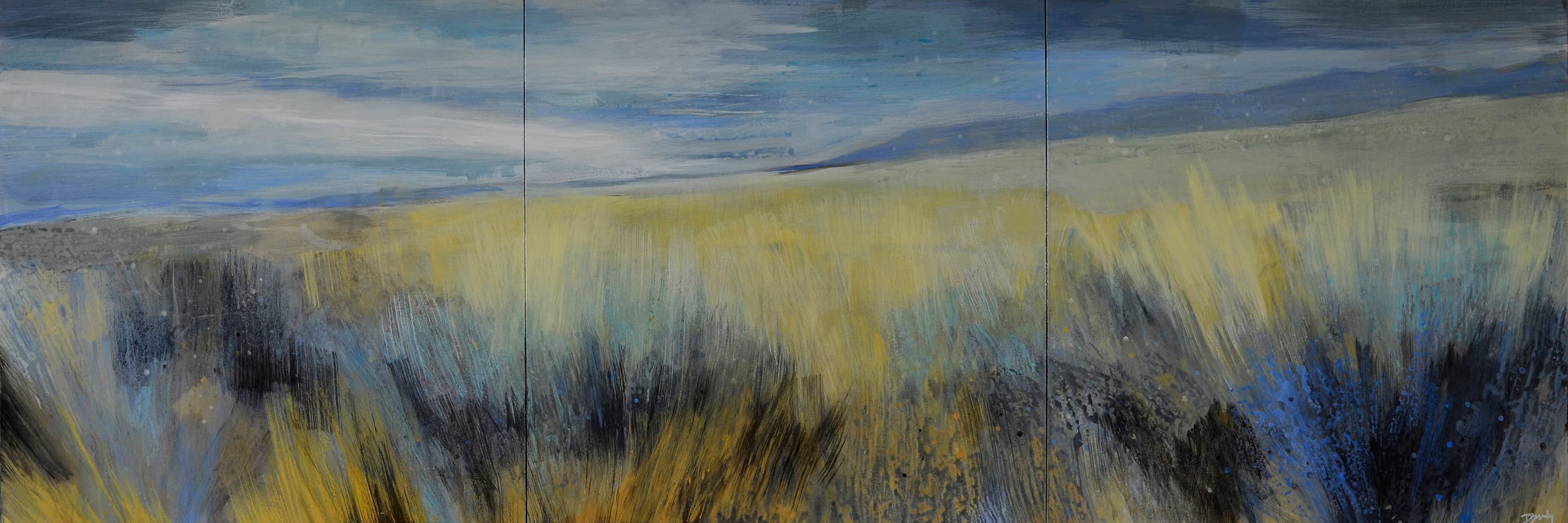 soft colours, off trail, old landscape, brush, grasslands