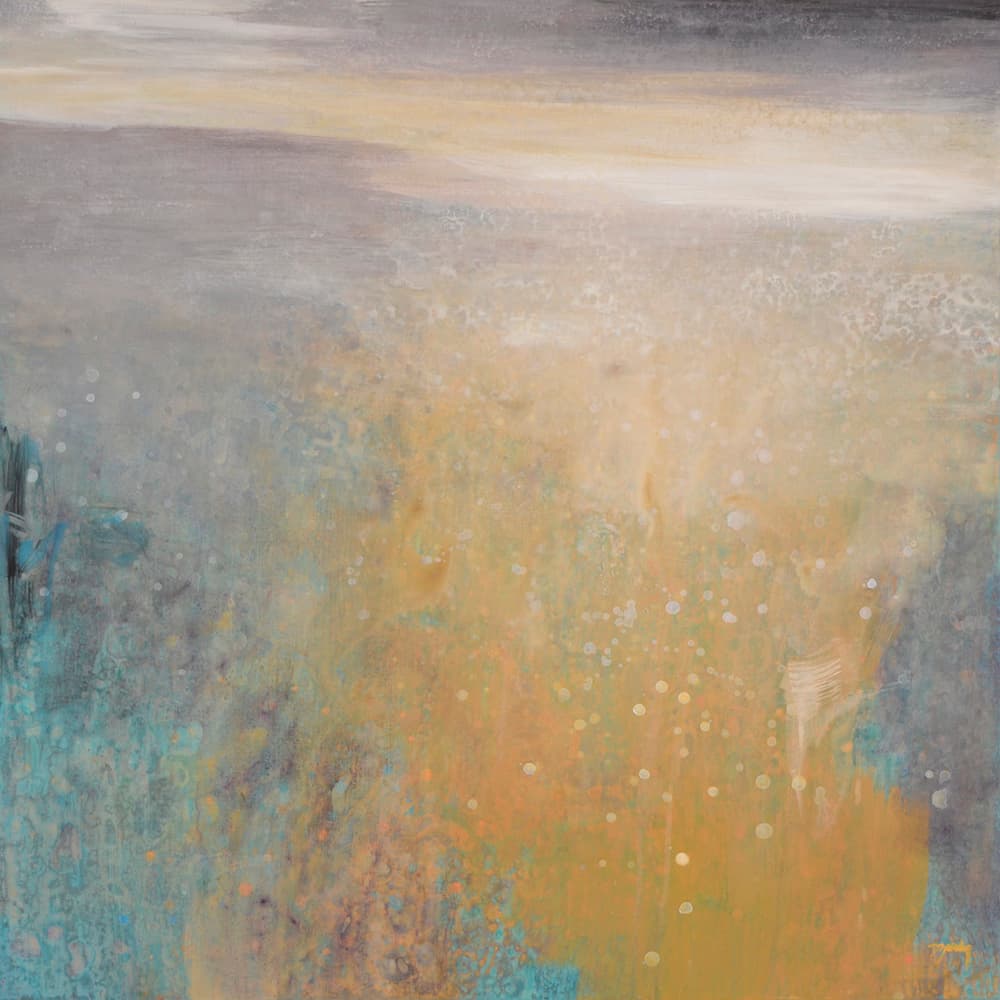 soft colours, off trail, old landscape, aspen, forest