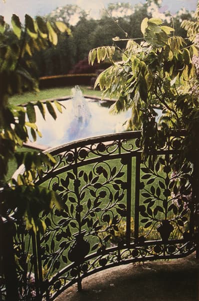 jennifer dickson, photography, etching, royal academy