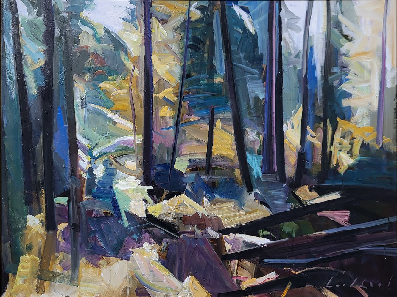 Regina Five, Saskatchewan, Alberta, Modern art, contemporary art gallery, lake, pathway, Ottawa, sailing, forest interior, trees, shadows