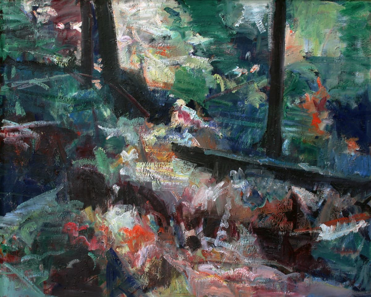 treed, forest, lighting, drama, Regina FIve